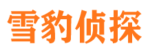 林口市侦探公司